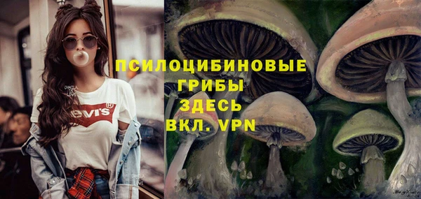 эйфоретик Белокуриха