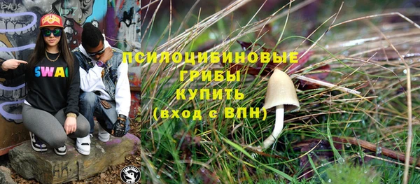 эйфоретик Белокуриха